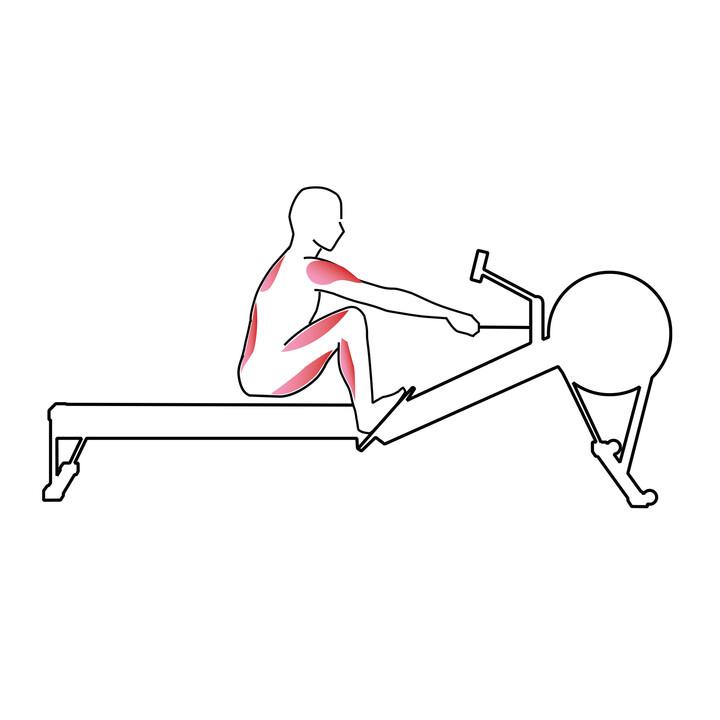 Illustration på startposition på träningsmaskinen med benen böjda.