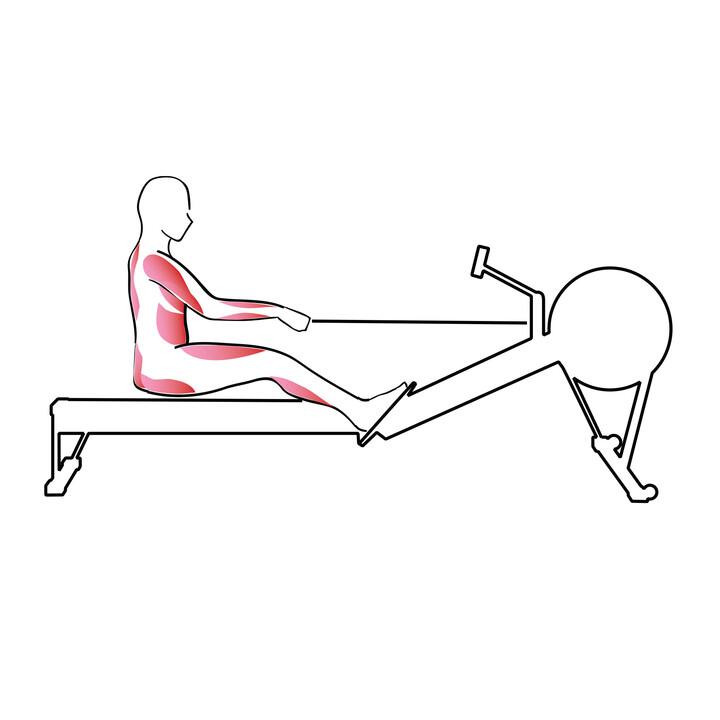 Illustration på dragposition på träningsmaskinen där benen sträcks ut.