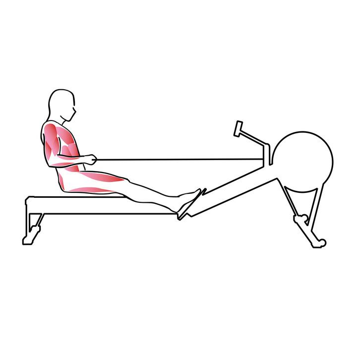 Illustration på slutposition på träningsmaskinen där benen är helt utsträckta.
