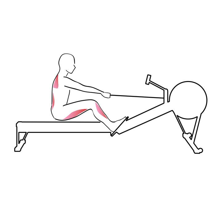 Illustration på viloläge innan processen repeteras.
