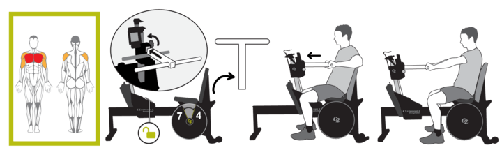 Bröstpress illustration